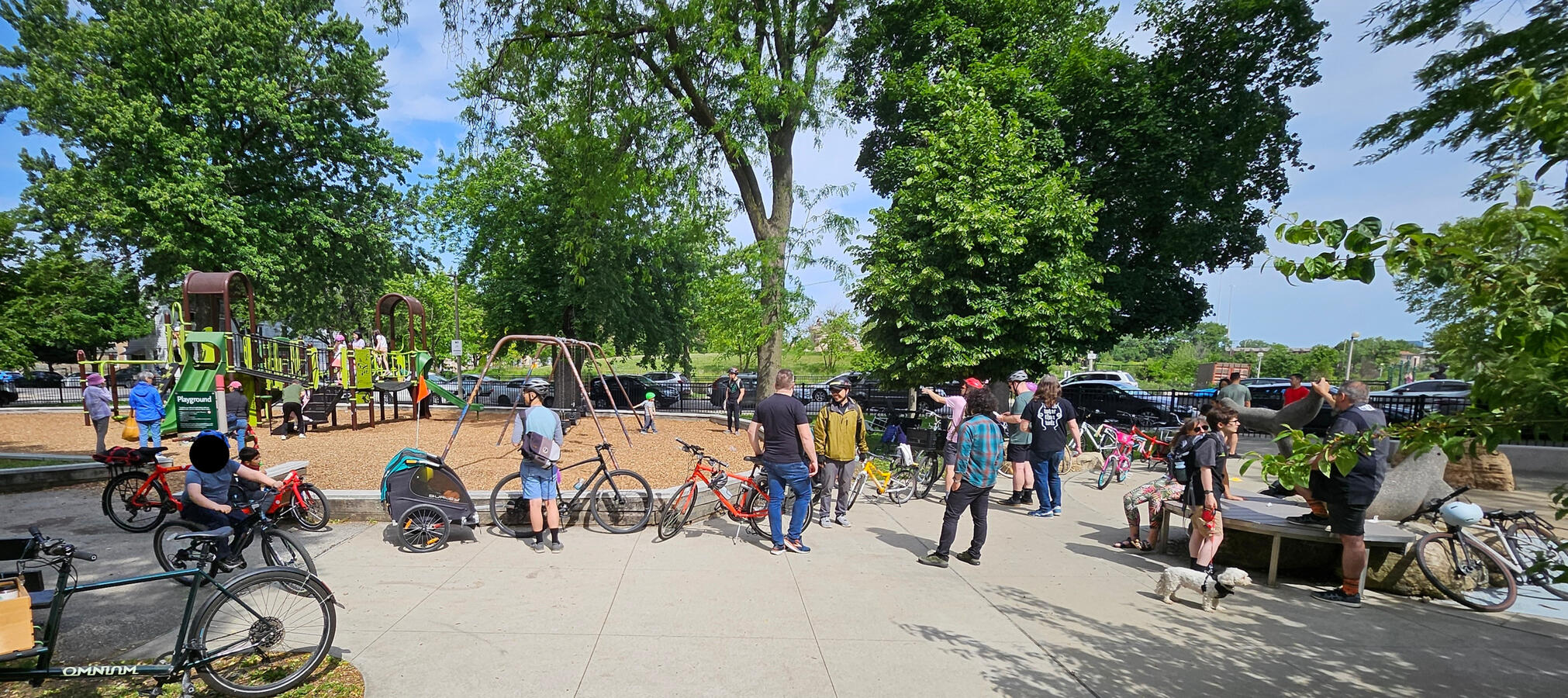 adults with kids and their bikes in a park.